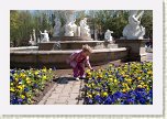 18 - 02 Pot sa iau o floare * 640 x 428 * (127KB)